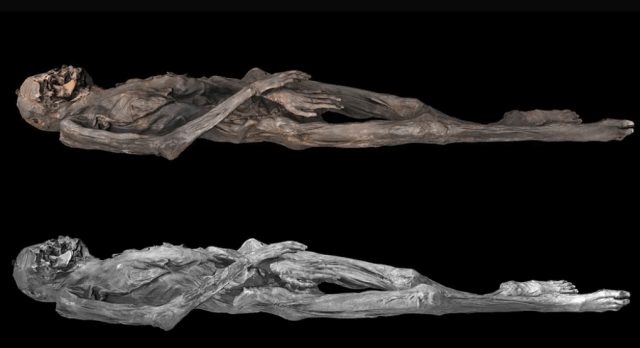 замороженная мумия