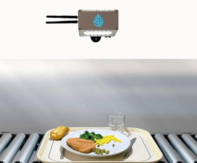 Искусственный интеллект и экология